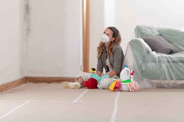 Reliable Mold Remediation contractor in Keyport, NJ by WQB Mold Removal
